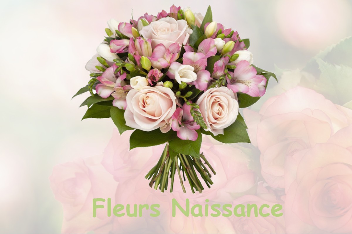 fleurs naissance CHAUSSOY-EPAGNY